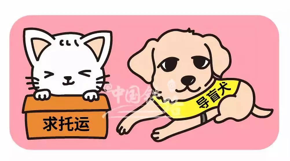 最新资讯 第17页